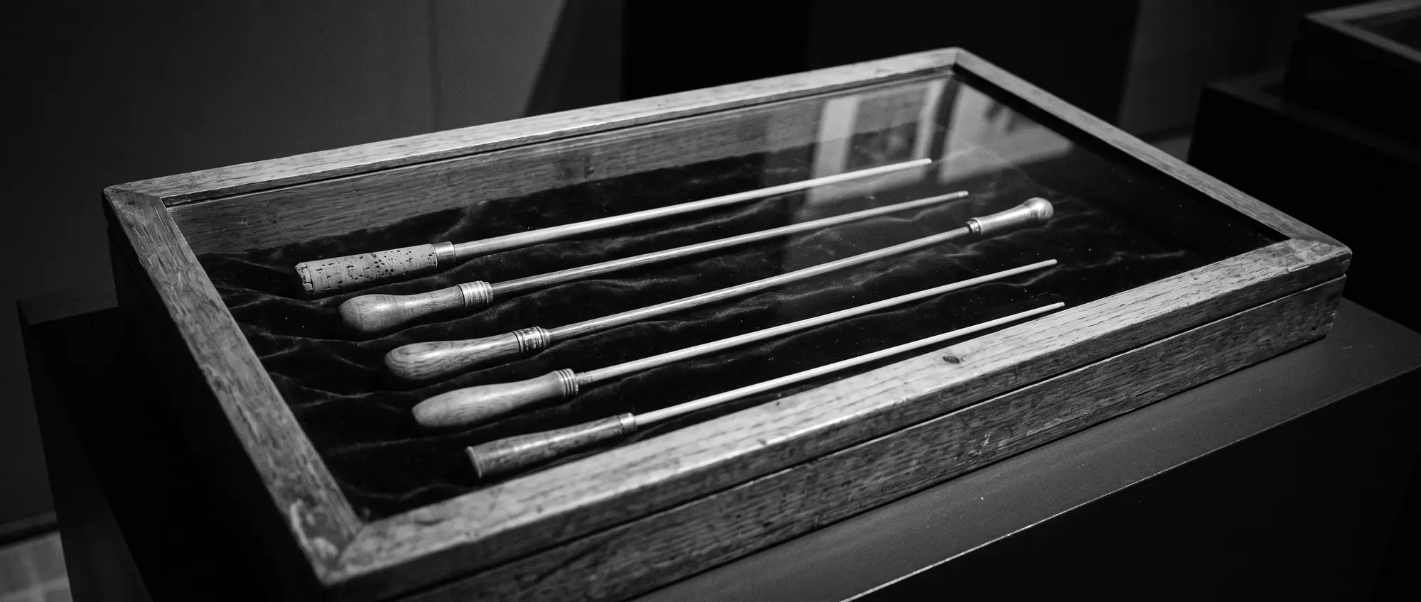 Five conductor's batons laid side by side in a glass display case